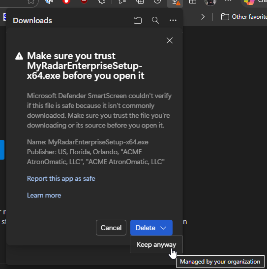 Click Keep anyway to save the installer